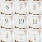 Meilensteinkarten Baby  l Geschenk zur Schwangerschaft l Geburtsgeschenk Baby l Babys erstes Jahr l Erinnerung zur Geburt PDF A6 Ausdrucken