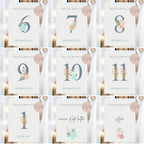 Meilensteinkarten Baby  l Geschenk zur Schwangerschaft l Geburtsgeschenk Baby l Babys erstes Jahr l Erinnerung zur Geburt PDF A6 Ausdrucken