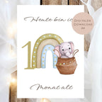 Meilensteinkarten Baby  l Geschenk zur Schwangerschaft l Geburtsgeschenk Baby l Babys erstes Jahr l Erinnerung zur Geburt PDF A6 Ausdrucken