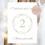 Meilensteinkarten Baby  l Geschenk zur Schwangerschaft l Geburtsgeschenk Baby l Babys erstes Jahr l Erinnerung zur Geburt PDF A6 Ausdrucken