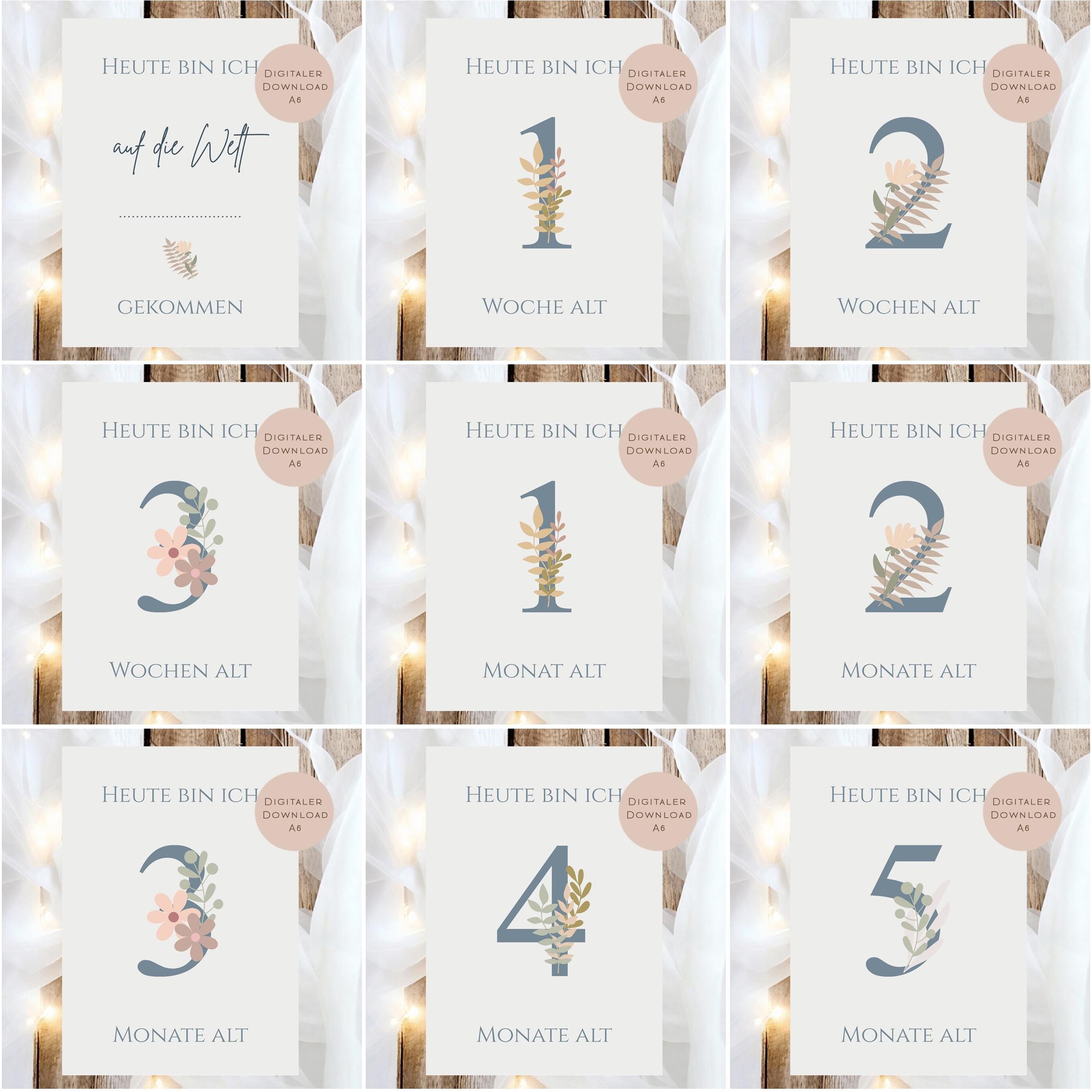 Meilensteinkarten Baby  l Geschenk zur Schwangerschaft l Geburtsgeschenk Baby l Babys erstes Jahr l Erinnerung zur Geburt PDF A6 Ausdrucken