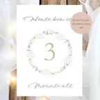 Meilensteinkarten Baby  l Geschenk zur Schwangerschaft l Geburtsgeschenk Baby l Babys erstes Jahr l Erinnerung zur Geburt PDF A6 Ausdrucken