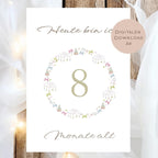 Meilensteinkarten Baby  l Geschenk zur Schwangerschaft l Geburtsgeschenk Baby l Babys erstes Jahr l Erinnerung zur Geburt PDF A6 Ausdrucken